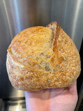 Load image into Gallery viewer, White Sourdough
